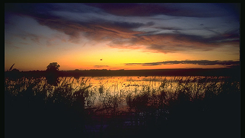 Click image for larger version

Name:	Wet1.jpg
Views:	16
Size:	123.1 KB
ID:	10885