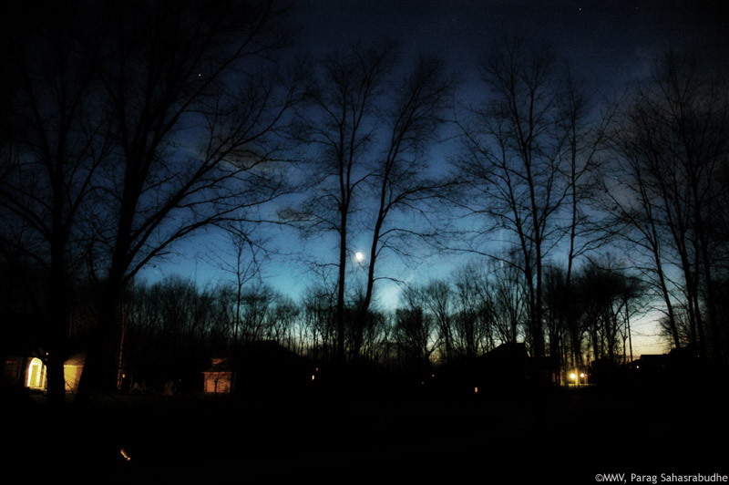 Click image for larger version

Name:	PeacefulMoonlight4.jpg
Views:	80
Size:	90.3 KB
ID:	14050