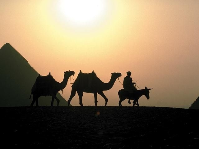 Click image for larger version

Name:	desert_egypt3_c-NOVA.jpg
Views:	20
Size:	21.7 KB
ID:	14466