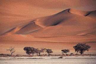 Click image for larger version

Name:	dry_desert.jpg
Views:	20
Size:	8.5 KB
ID:	14467