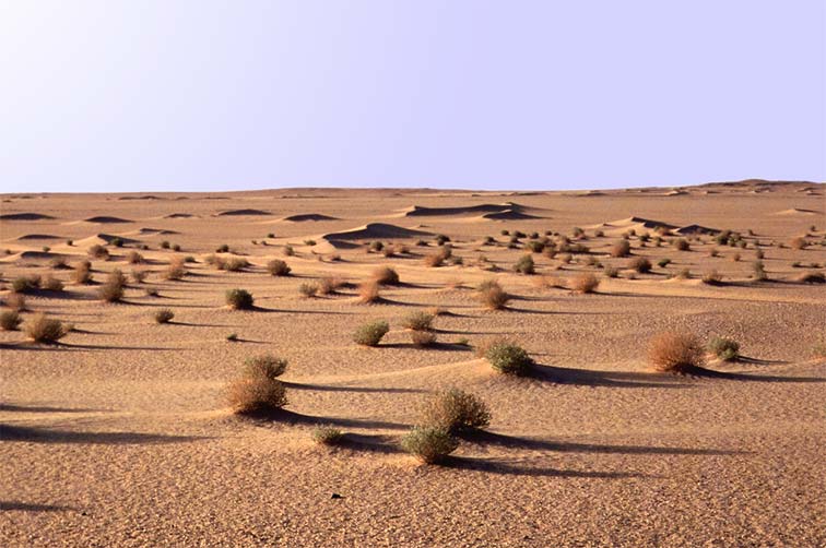 Click image for larger version

Name:	oued01.jpg
Views:	16
Size:	64.2 KB
ID:	14468