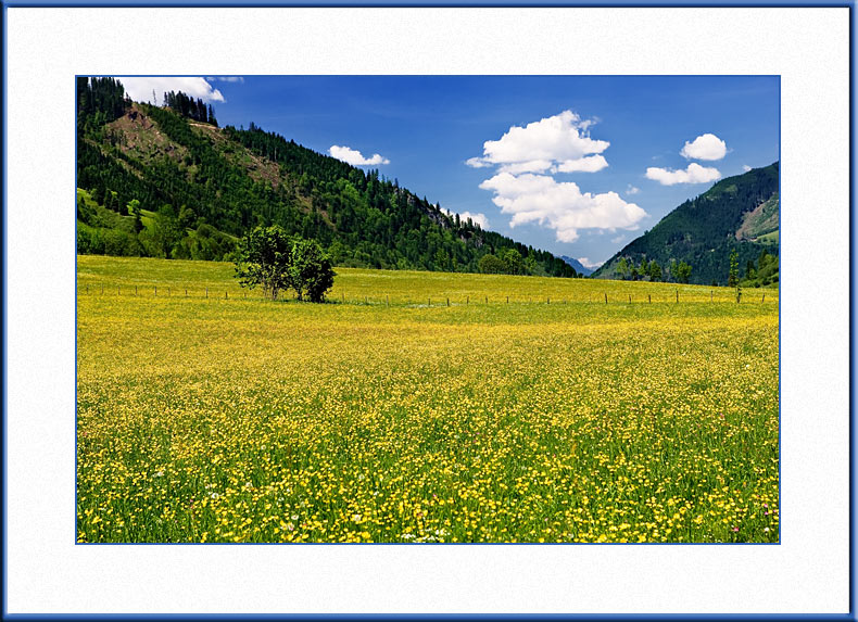 Click image for larger version

Name:	1.jpg
Views:	20
Size:	165.4 KB
ID:	14850