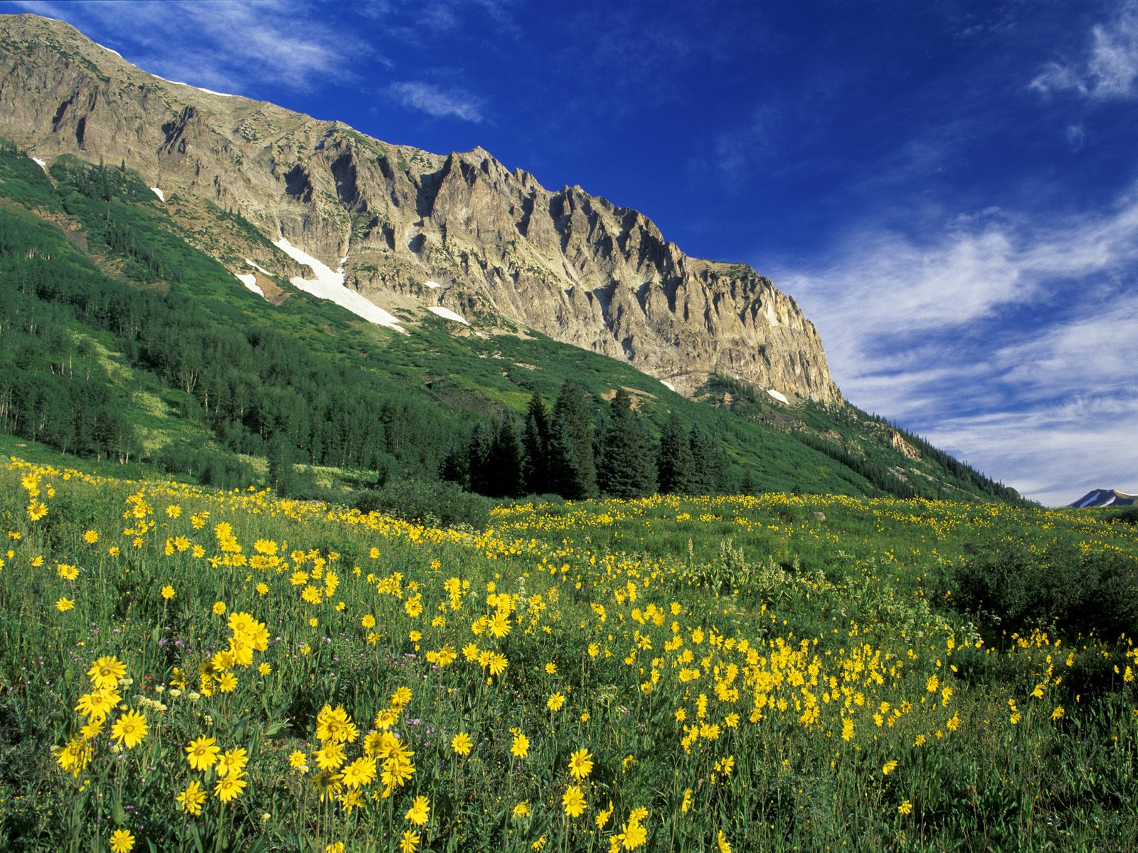 Click image for larger version

Name:	Alpine Meadow Near Crested Butte, Colorado.jpg
Views:	18
Size:	536.0 KB
ID:	14852