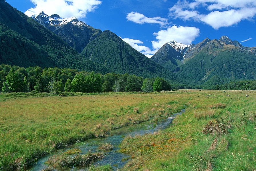 Click image for larger version

Name:	meadow S Alps.jpg
Views:	15
Size:	160.1 KB
ID:	14853