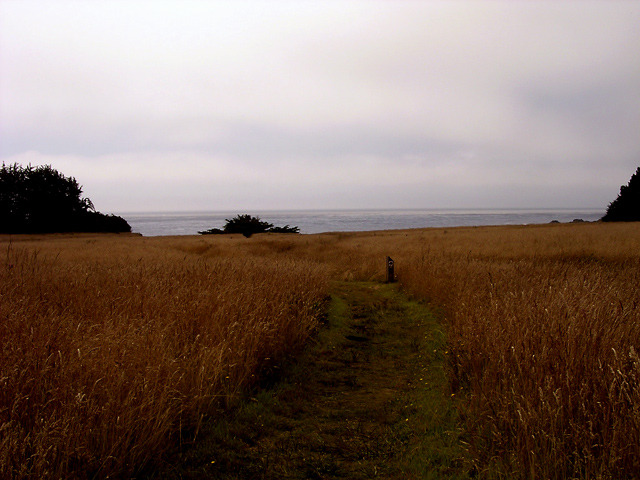 Click image for larger version

Name:	sr05-meadow.jpg
Views:	22
Size:	151.9 KB
ID:	14855