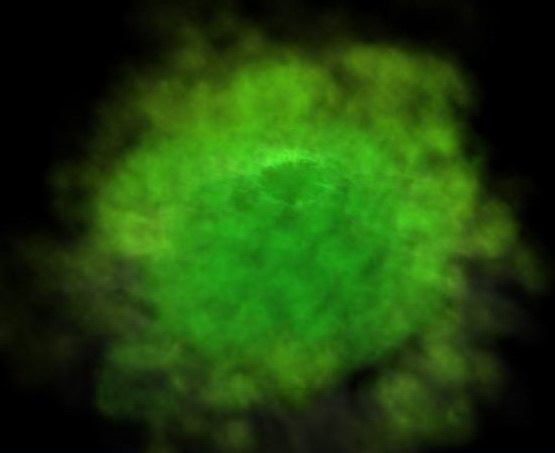 Zoom (requires log in)
