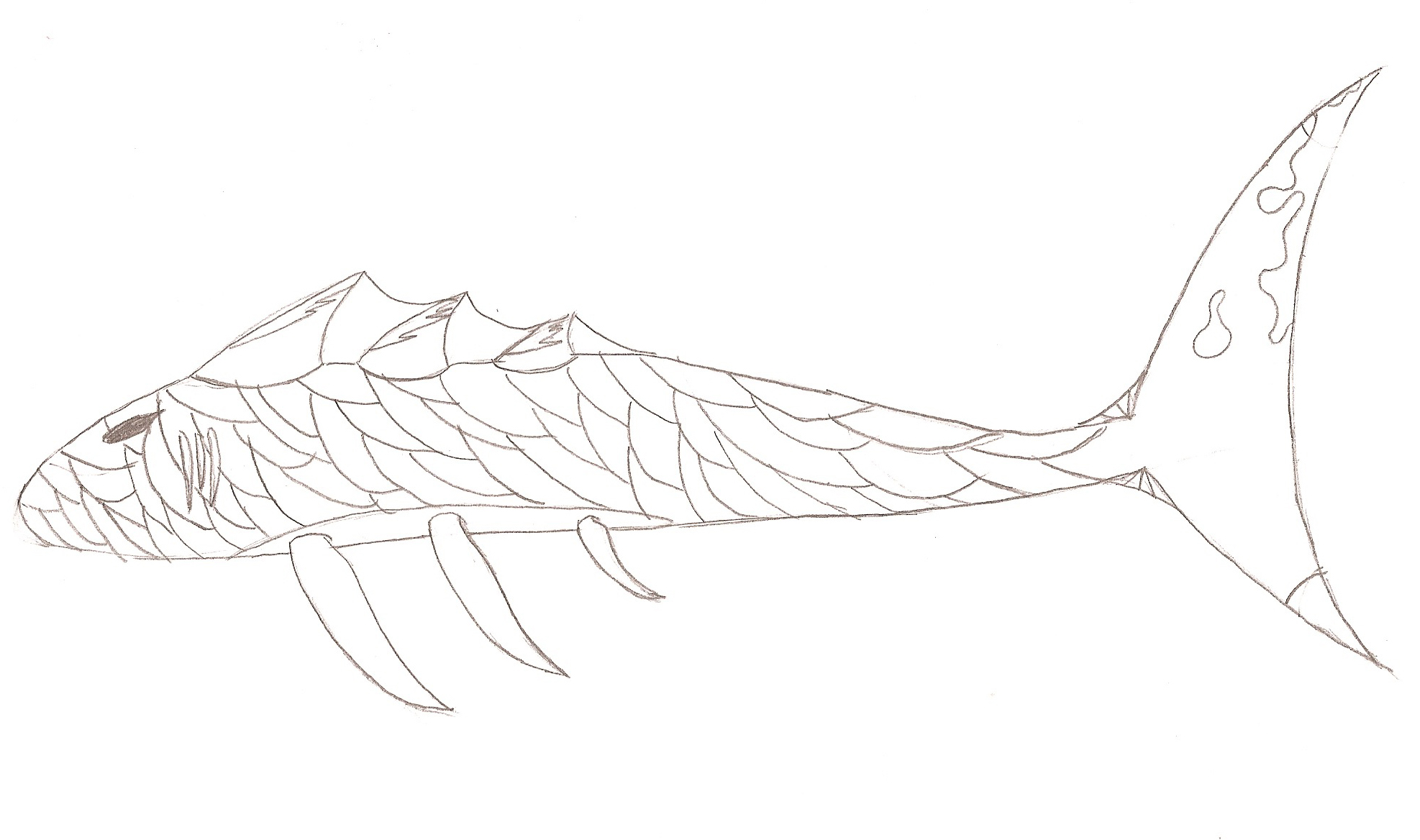 Click image for larger version

Name:	Creature 2.jpg
Views:	26
Size:	510.9 KB
ID:	17253