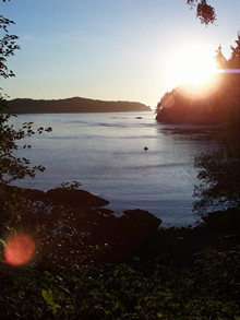 Click image for larger version

Name:	0temp2.jpg
Views:	31
Size:	15.8 KB
ID:	19364