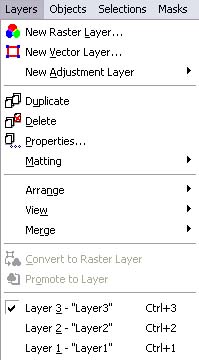 Click image for larger version

Name:	LayerMenu.jpg
Views:	22
Size:	35.7 KB
ID:	1998