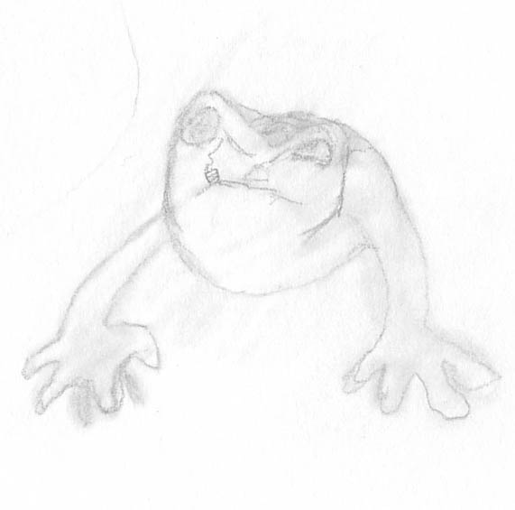 Click image for larger version

Name:	Toad kopiera.jpg
Views:	110
Size:	33.0 KB
ID:	2017
