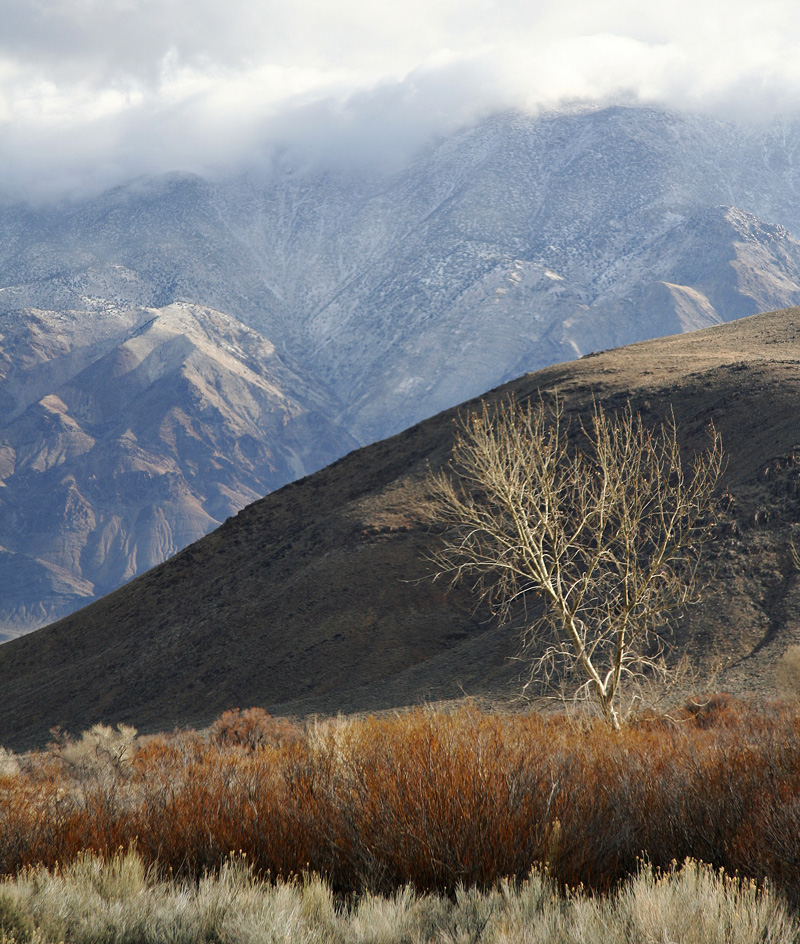 Click image for larger version

Name:	Mountains3.jpg
Views:	27
Size:	355.3 KB
ID:	21573
