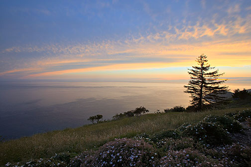 Click image for larger version

Name:	00temp2.jpg
Views:	33
Size:	42.0 KB
ID:	22898