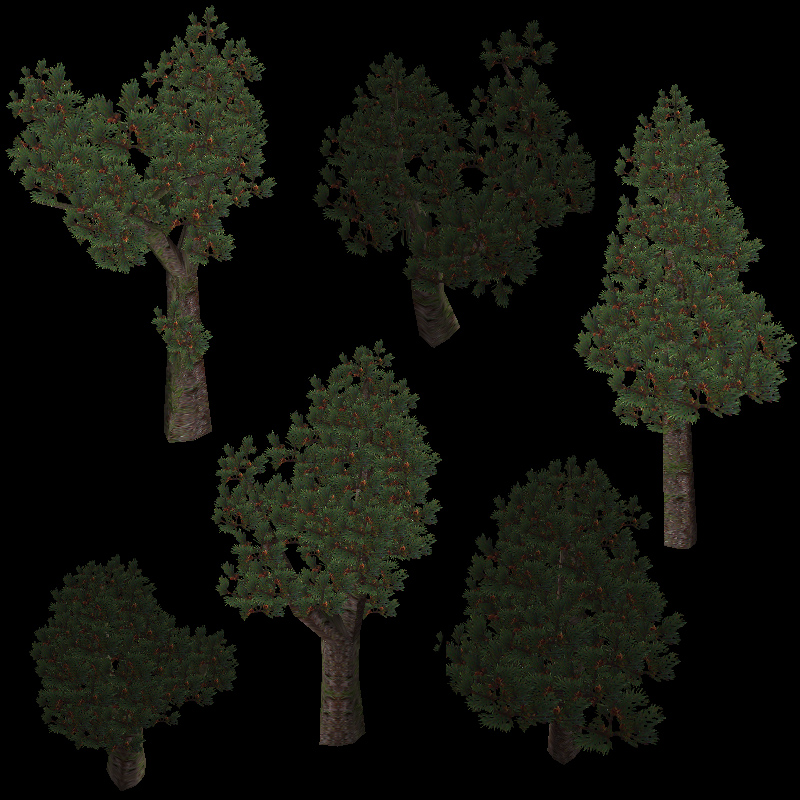 Click image for larger version

Name:	pines.jpg
Views:	2283
Size:	370.0 KB
ID:	26494