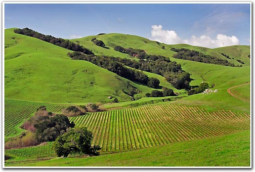 Click image for larger version

Name:	V3.jpg
Views:	18
Size:	61.0 KB
ID:	26654