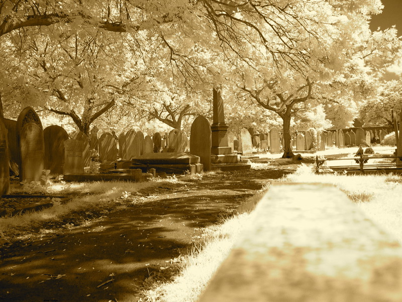 Click image for larger version

Name:	Graveyard3.jpg
Views:	27
Size:	229.7 KB
ID:	27813