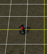 Zoom (requires log in)