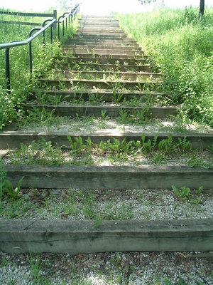 Click image for larger version

Name:	Overgrown_by_Nivao.jpg
Views:	17
Size:	50.0 KB
ID:	31837