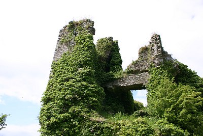 Click image for larger version

Name:	overgrown_clonmore.jpg
Views:	13
Size:	35.7 KB
ID:	31838