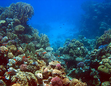 Click image for larger version

Name:	4Unw.jpg
Views:	41
Size:	53.7 KB
ID:	33305