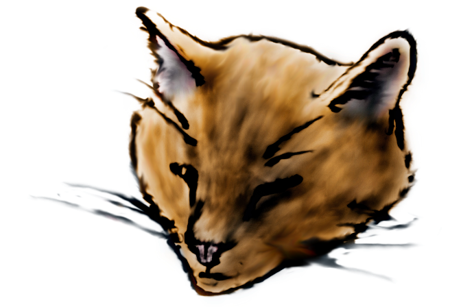 Click image for larger version

Name:	kittypic1.png
Views:	78
Size:	236.8 KB
ID:	3465