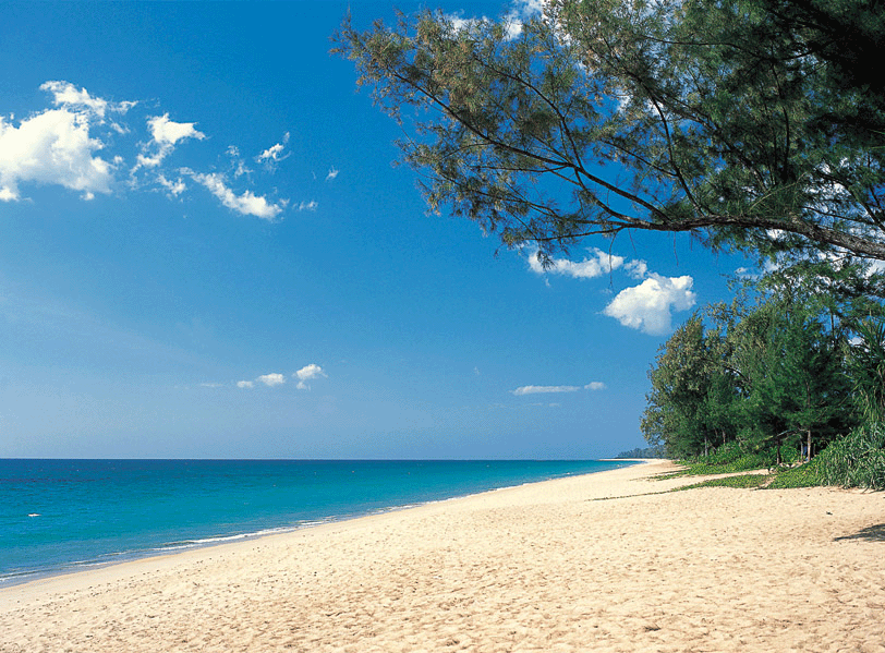 Click image for larger version

Name:	Shoreline.gif
Views:	24
Size:	298.8 KB
ID:	37912