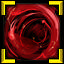 Zoom (requires log in)