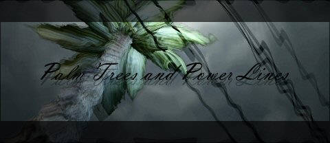 Click image for larger version

Name:	PTaPLReflection.jpg
Views:	94
Size:	18.5 KB
ID:	4908