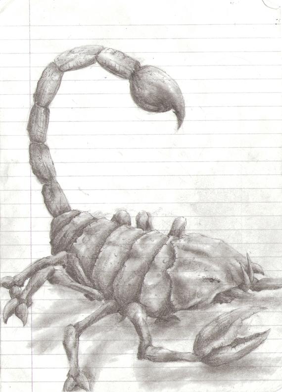 Click image for larger version

Name:	11__Scorpion.jpg
Views:	66
Size:	57.6 KB
ID:	49493