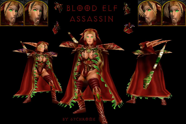 Click image for larger version

Name:	29BannerBloodElfAssassin.jpg
Views:	368
Size:	74.9 KB
ID:	49843