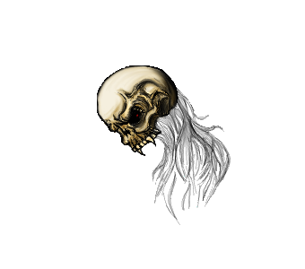Zoom (requires log in)