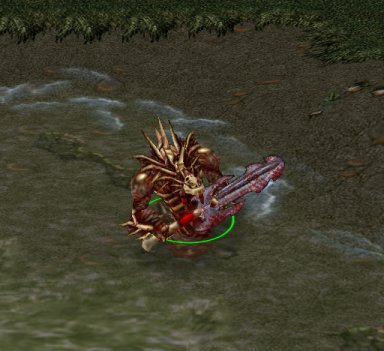 Zoom (requires log in)